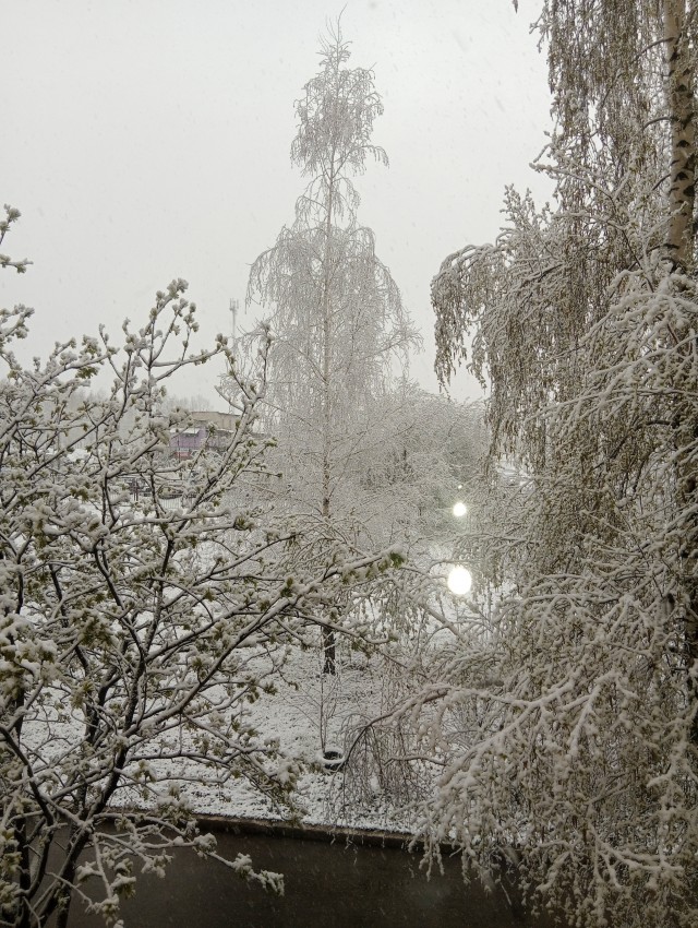 Может, и к лучшему