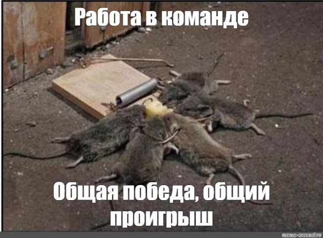 Бог существует
