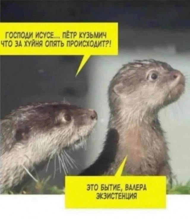 Картинки для деградации 284 (разной степени свежести)