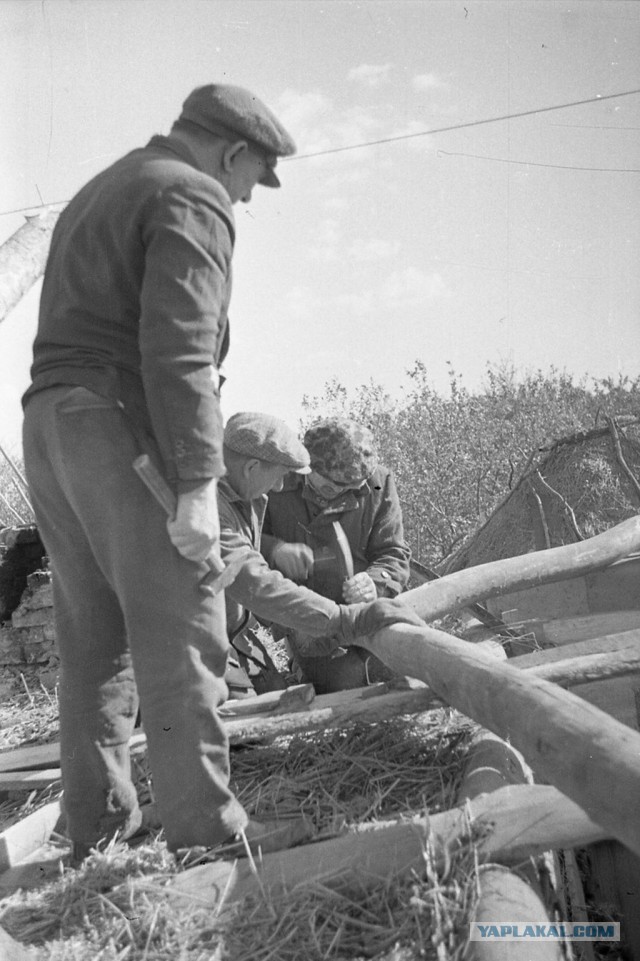 1970 год, село Козловка.