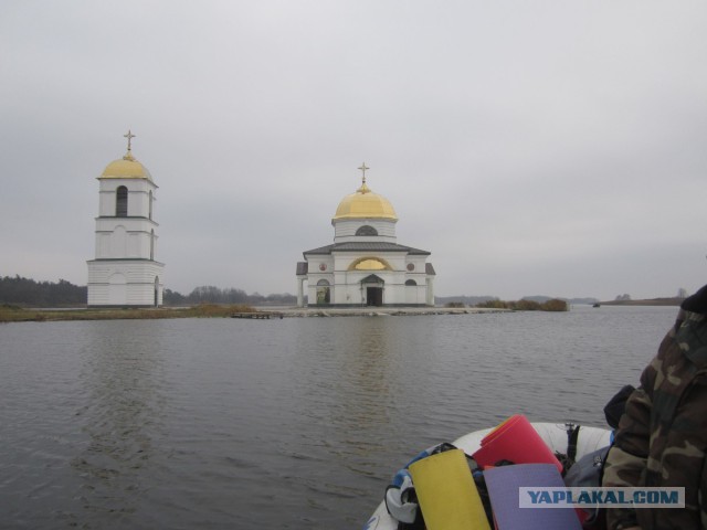 Про щуку, суку и немцев.