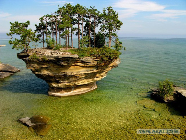 30 самых удачных фотографий января