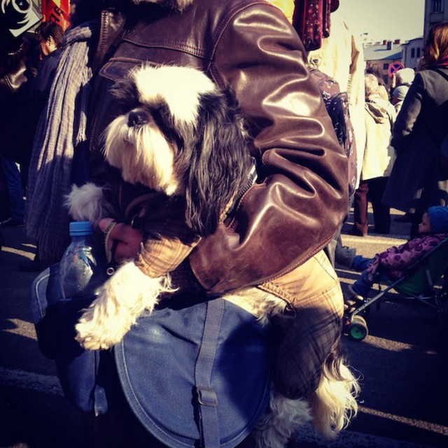 Марш предателей