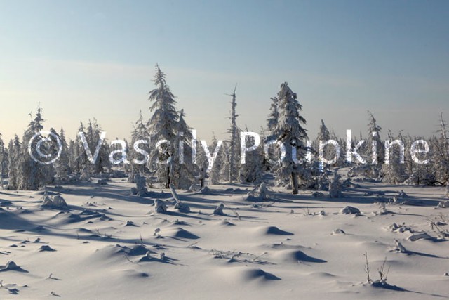 Фотограф с тремя восклицательными знаками