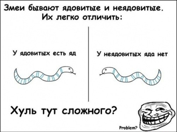 Как отличить змей ядовитых от неядовитых?