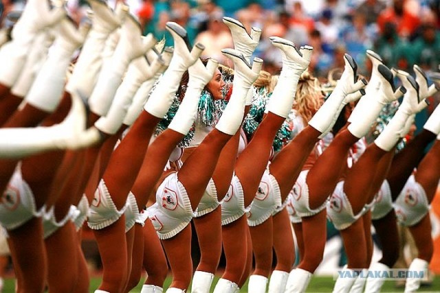 Группа поддержки Miami Dolphins