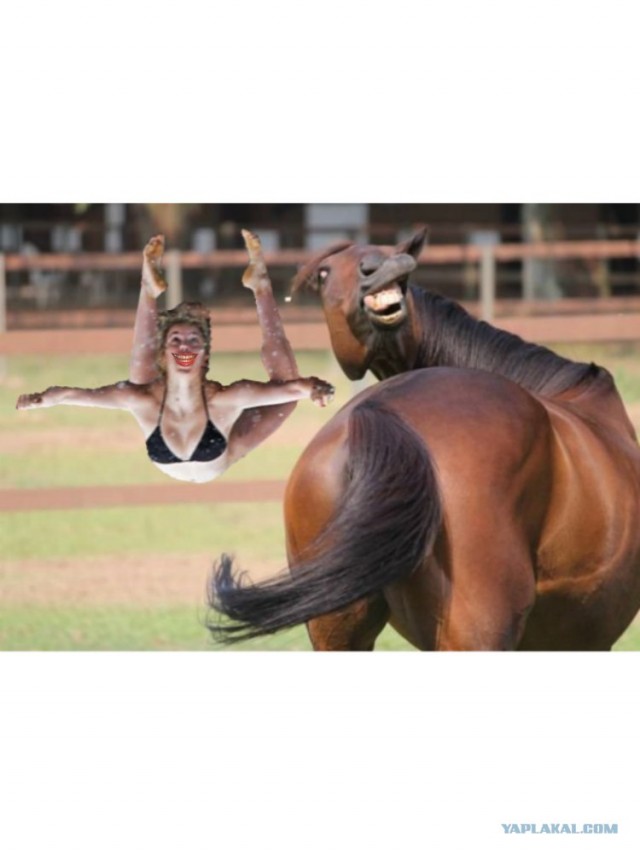 Удачное фото получилось