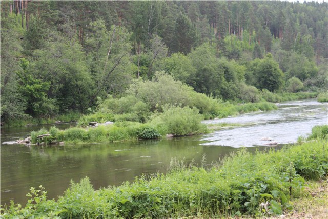Я узнал, что у меня есть огромная семья
