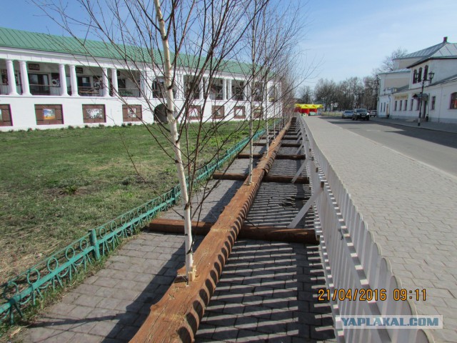 Потемкинские березки