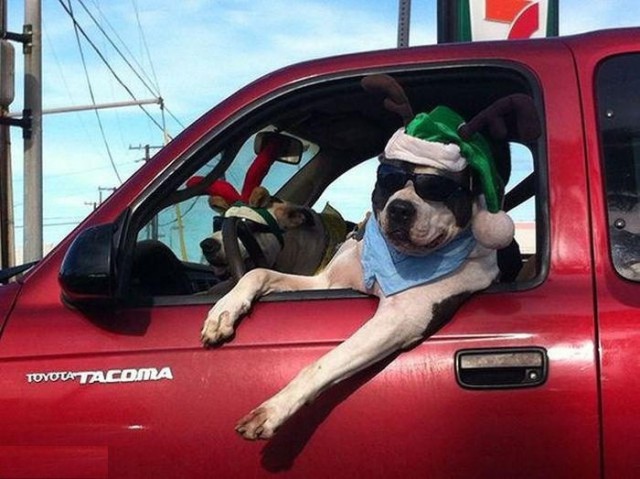 Подборка картинок