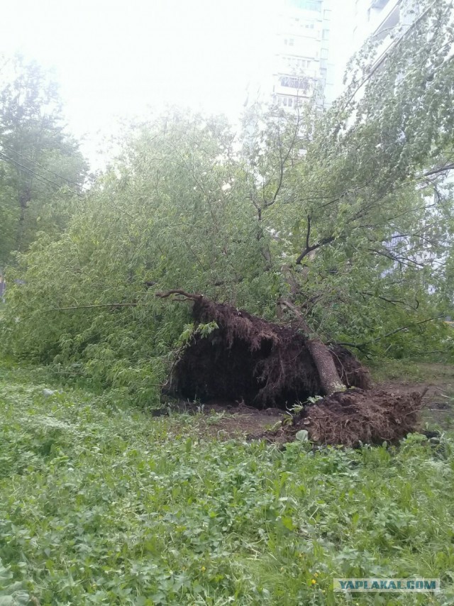 В Москве ураган!