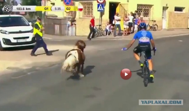 Российский велогонщик перехитрил выбежавшего на трассу пони