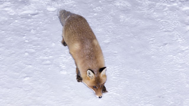 Просто Природа