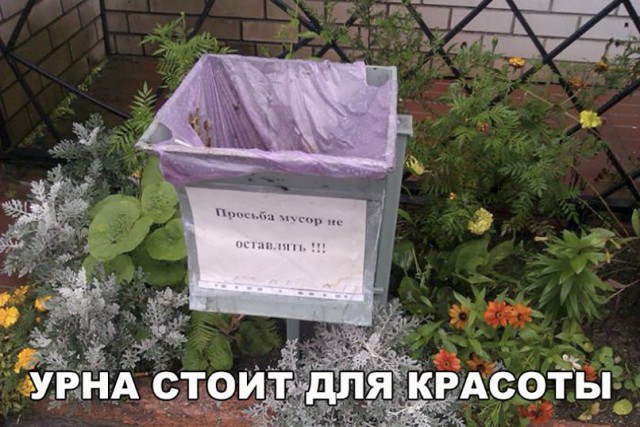 Нестандартный юмор