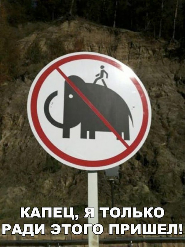 Прикольные картинки обо всём