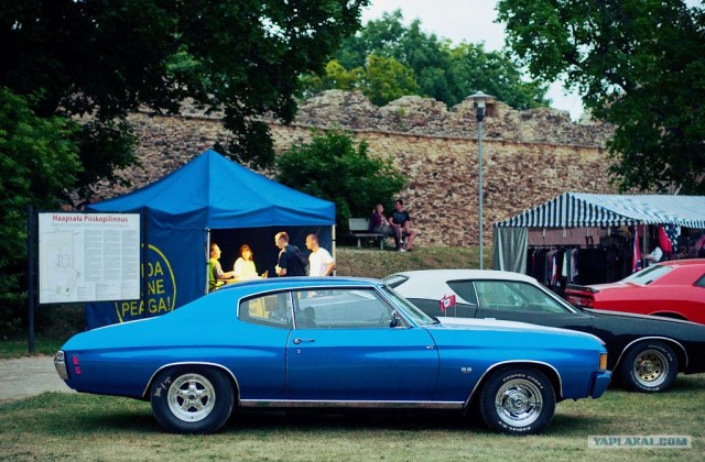 American Beauty Car Show 2011