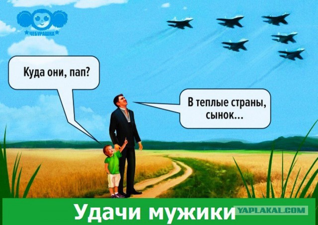 Карикатурки