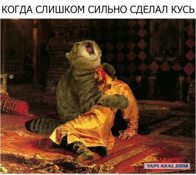 Не очень адекватный юмор