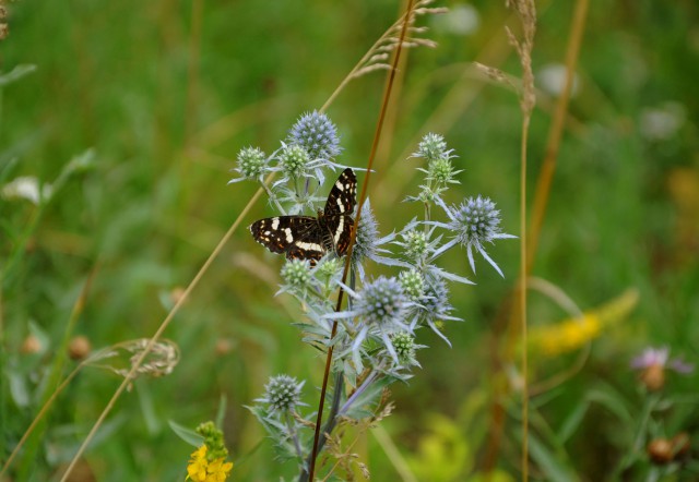 Просто Природа