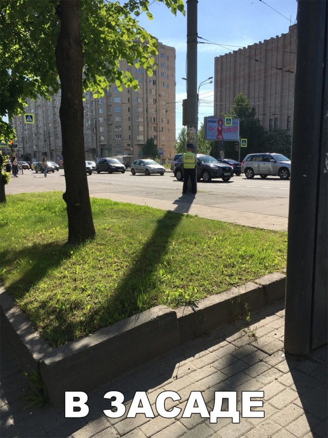 Прикольные картинки абавсём
