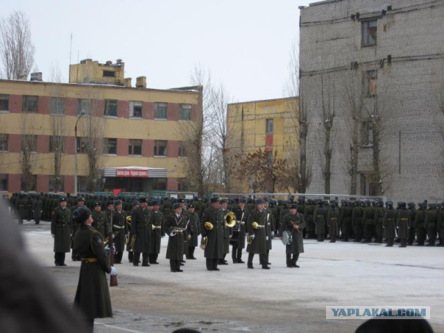 "Пионер": неожиданная находка среди леса