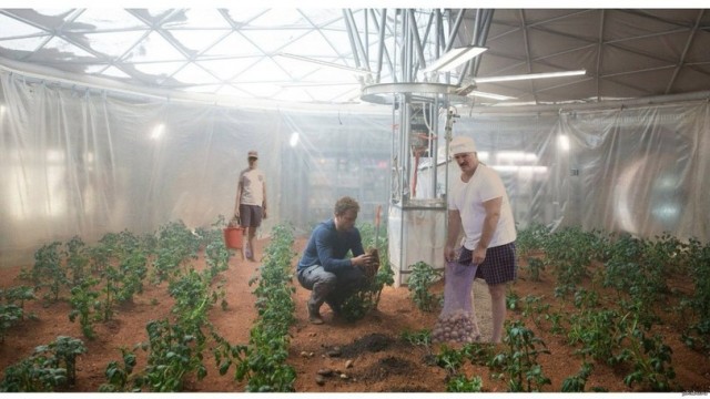 SpaceX планирует вывести корабль Starship на орбиту в течение шести месяцев