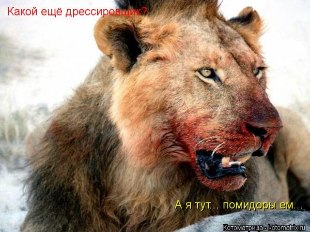 Зверский аппетит