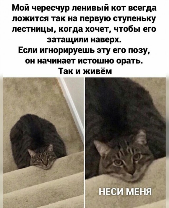 Немного картинок для настроения 05.02.20