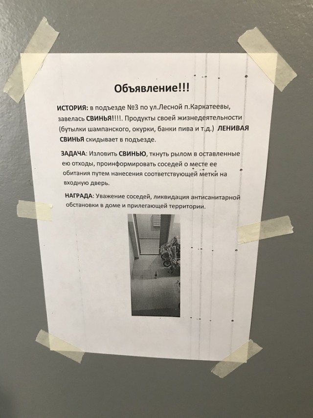 Юмор на любителя