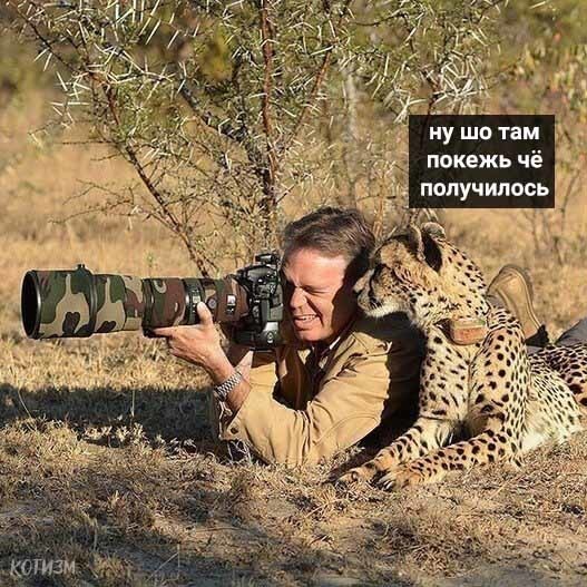 Про фотогеничность