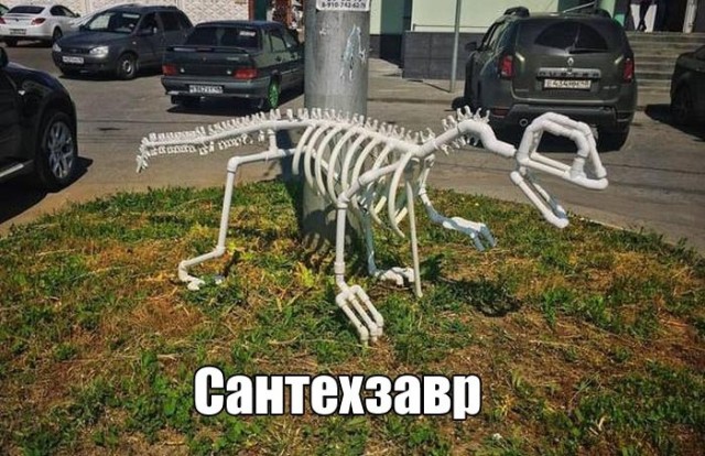 Так себе картинки 27.07.20