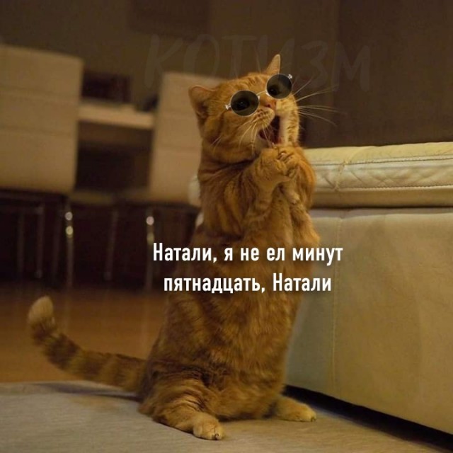 Как удачно наложили аудио на видео