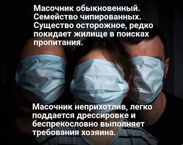 В Екатеринбурге пассажиры выкинули из трамвая женщину без маски