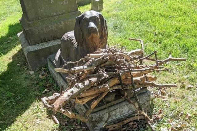 Почему люди более века приносят деревянные палки на могилу псу Рексу на кладбище в Бруклине