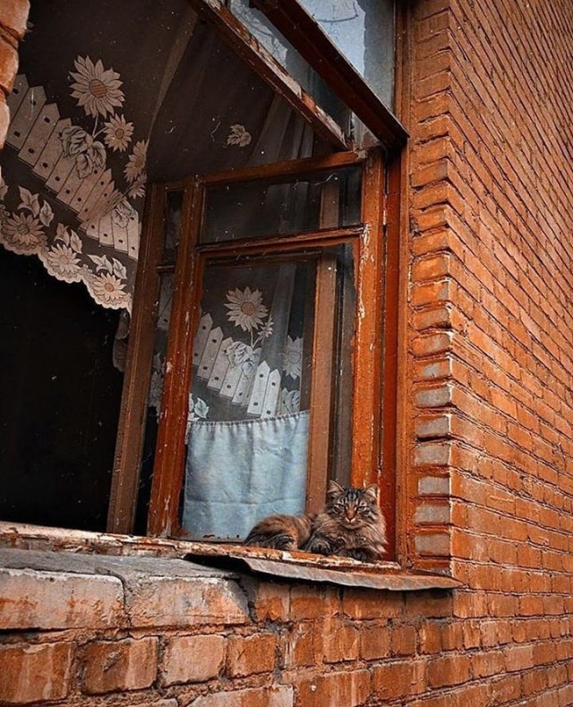 Уличные котаны