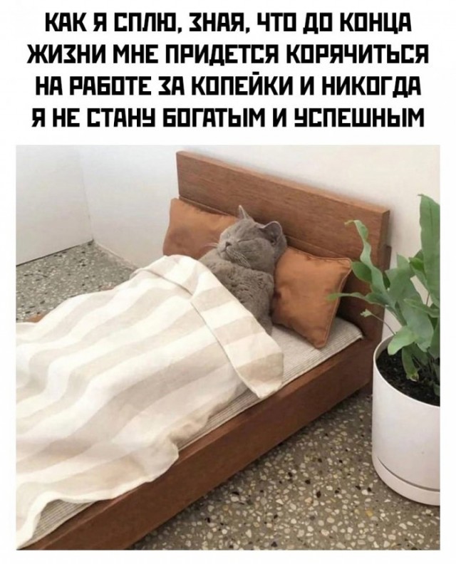 Картинки и мемы для настроения 03.06.2021