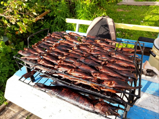 Рыбалка