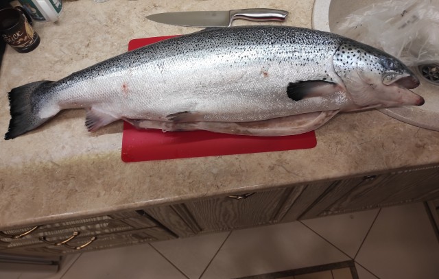 Мясо наизнанку для дорогих гостей