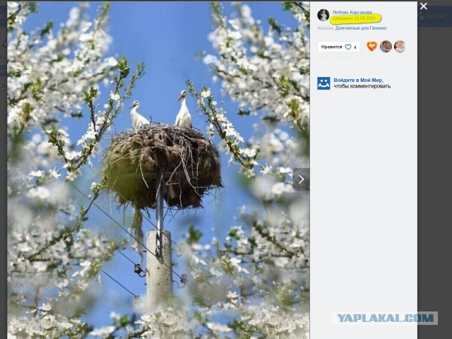 Весна в Узбекистане