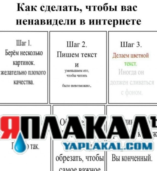 Весёлый полтишок 24.05.22