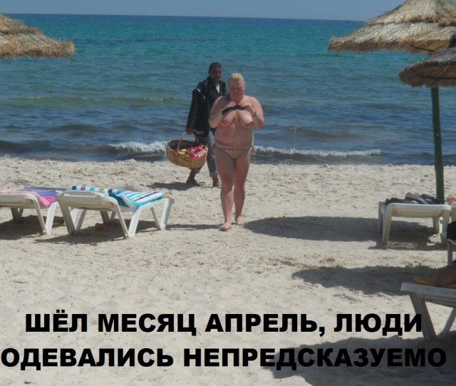 Скотсети и прочие интернеты 27.05.22