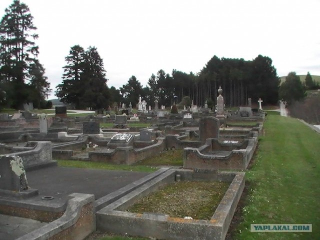 На машине по Новой Зеландии