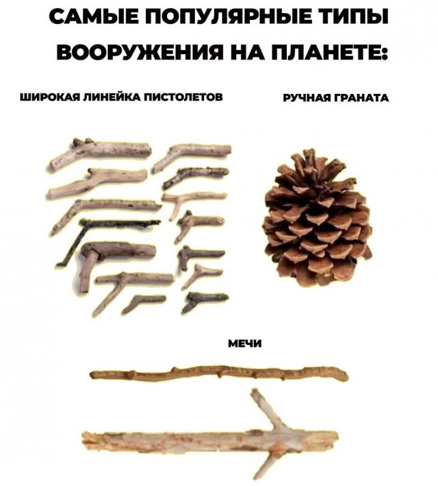 Народная меДИЧна 2012