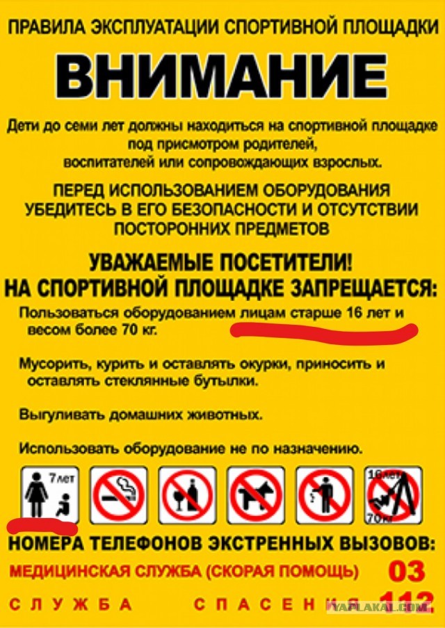 Может в печень тебе постучать?