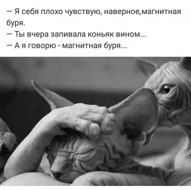 Ученые встревожены магнитной бурей, которая будет последней в мае