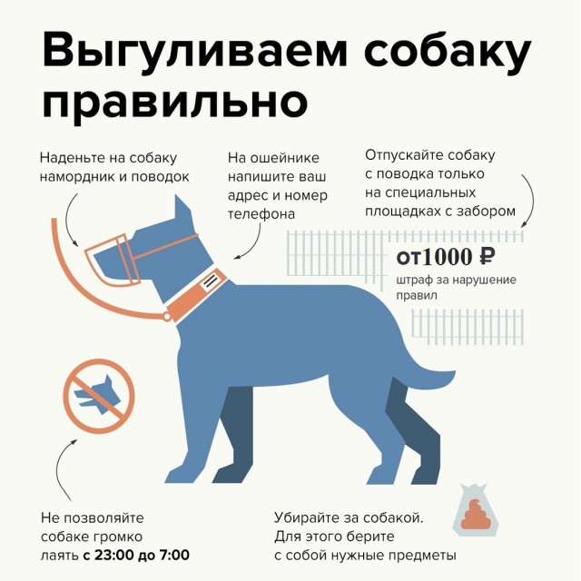 Одной рукой поднял 40 кг...