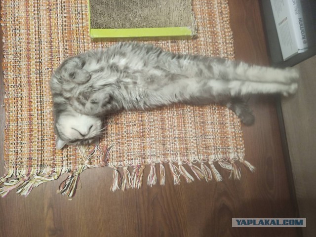 Вот вам