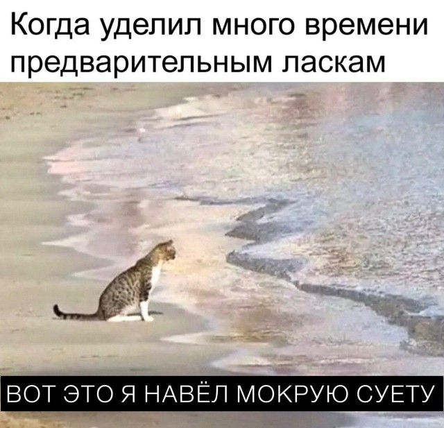 Юмор в картинках и без