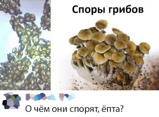 Так себе картинки 26.09.23