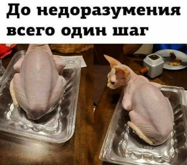 Кретинизмы из KV и KO 10-03-2024